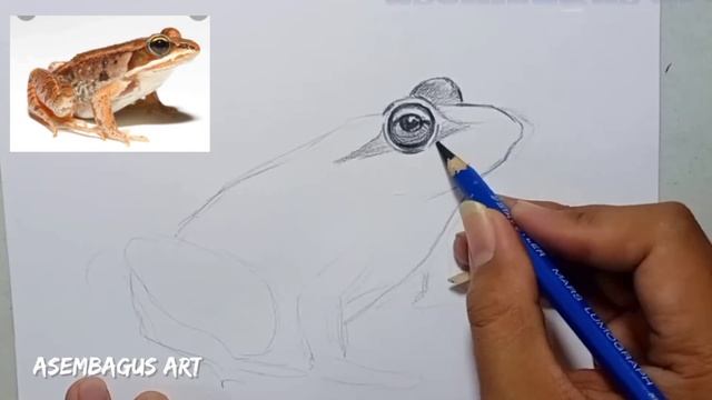 GAMBAR BENTUK FLORA DAN FAUNA смотреть онлайн