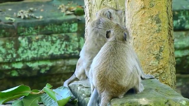 JANE NO KINDLY TO HER DAUGHTER JANNA DURING BABY JODY FEEDING MILK ON CHEST HER | смотреть онлайн