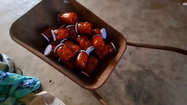 Обед и ужин/Вкусный уголок/ Кто живёт в вазе смотреть онлайн