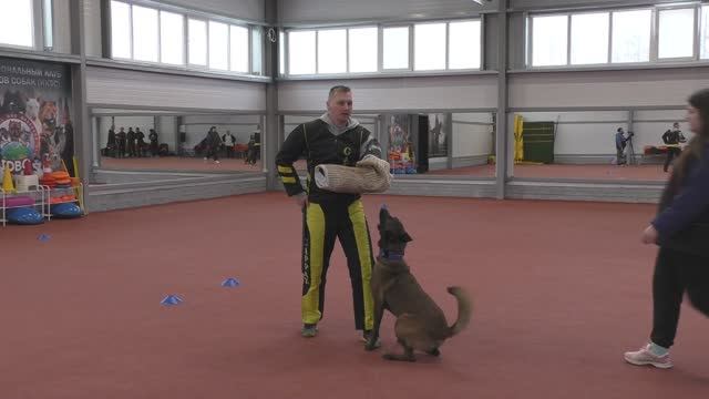 Защита Соболев Евгений. Конкурс фигурантов 2025. Раздел НацВиды.