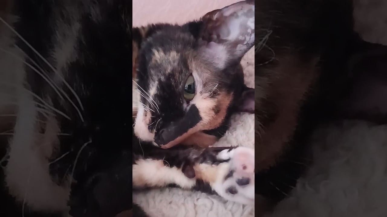 24 июля 2023 г. смотреть онлайн