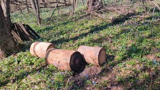 Приехал на место ночевки смотреть онлайн