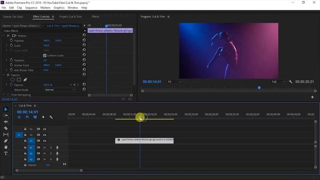 How to Cut & Trim Video in premiere pro | Hindi Tutorial | Tutorial for Beginner смотреть онлайн
