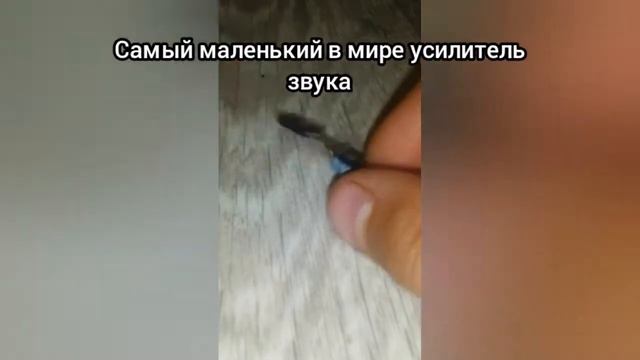 Мини усилитель звука смотреть онлайн