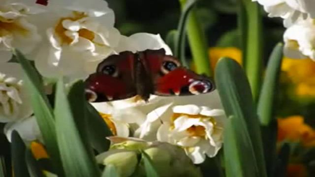 Этот ключ очень прост,раньше о нём не сообщалось,держалось в секрете смотреть онлайн