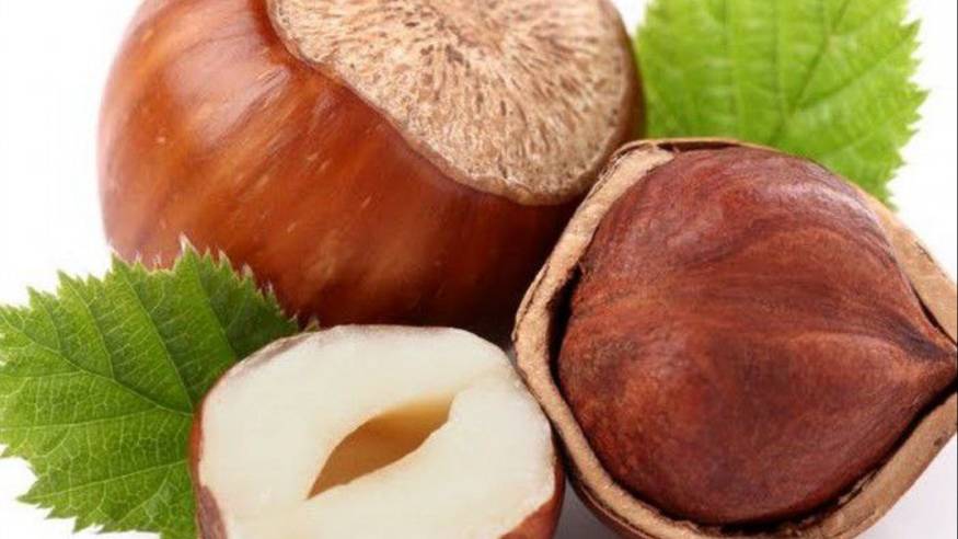 Орешник для Андрея