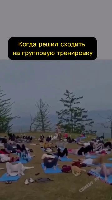 Я за обычный спортзал, без групповых #юмор #групповыетренировки смотреть онлайн