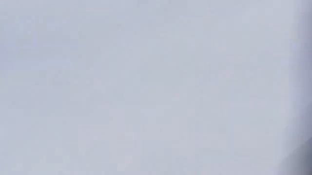 дикие дети увидели белку смотреть онлайн