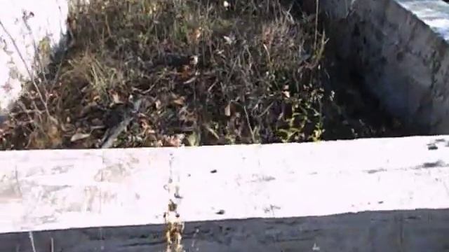 Меня нашли и разоблачили Самвел уже в курсе смотреть онлайн