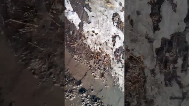 Весна всё тает смотреть онлайн