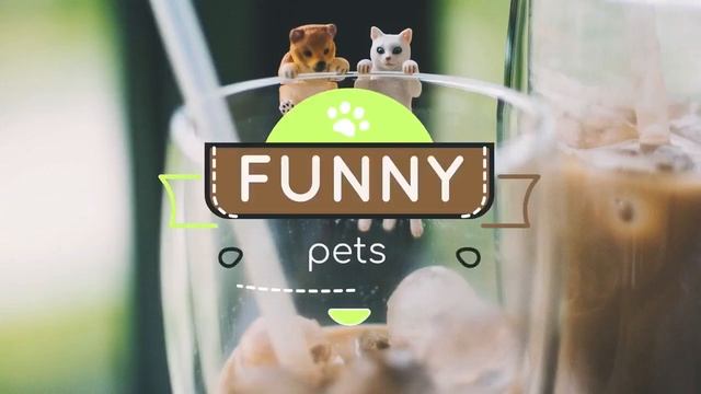 Titles Pets DaVinci Resolve Templates смотреть онлайн