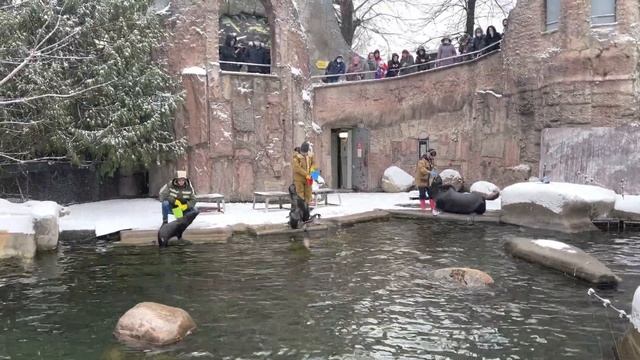 Морские Котики 2 смотреть онлайн