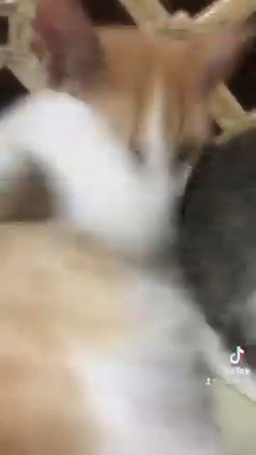 goodvibes wd my shy&ganda😂 смотреть онлайн