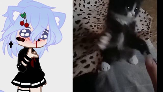 Как я вижу свою слп {Gacha Club} Orig? смотреть онлайн
