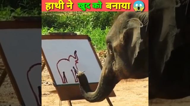 हाथी ने खुद को बनाया 😱 by facts india nn #youtubeshorts #shorts смотреть онлайн