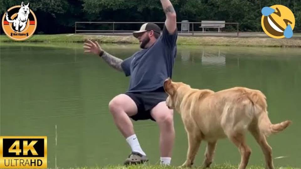 Животные против людей _Самые неловкие провалы!😂 смотреть онлайн