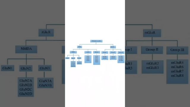 Neuronal Glutamate Transporter смотреть онлайн