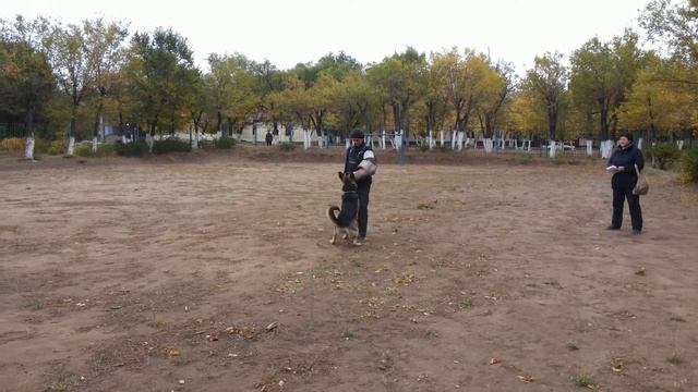 МОНО Караганда 24.09.17г ПРК Лобовая смотреть онлайн