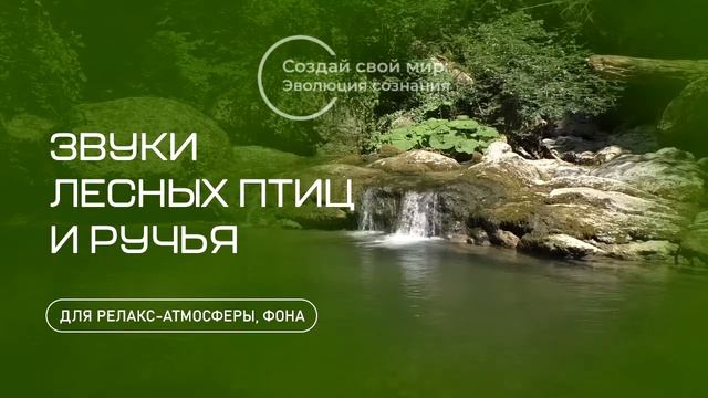 Звуки лесных птиц и ручья/Sounds of forest birds and a stream смотреть онлайн