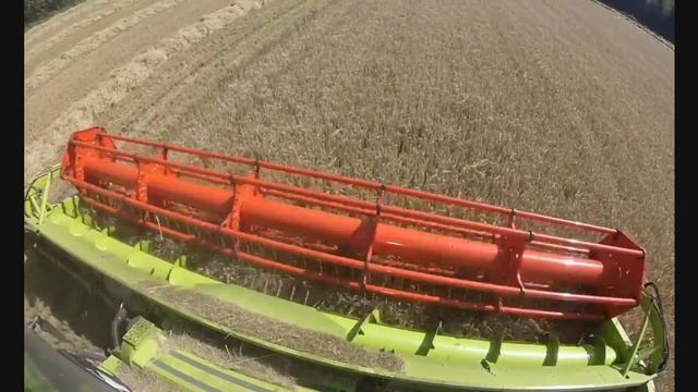 Claas Lexion 670TT vs Vintage Claas SF Combine смотреть онлайн