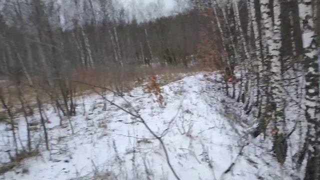 Смоленские просторы глазами охотника. смотреть онлайн
