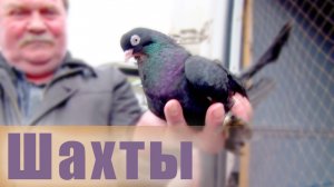 Птичий рынок. Шахты. [06.04.2025]