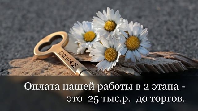 22-Торги. От 25 тыс. р. Подача заявки на участие в торгах. смотреть онлайн