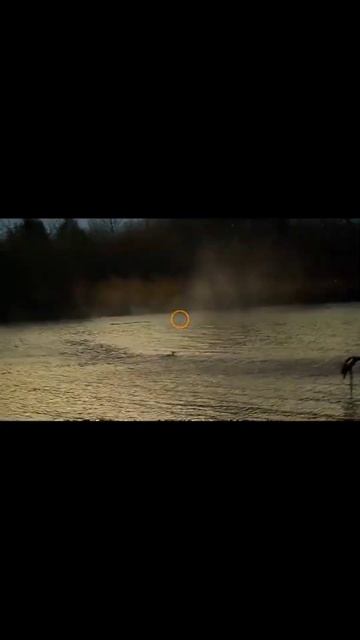 Duck Hunting Is Frustrating.#duckhunting #hunting смотреть онлайн