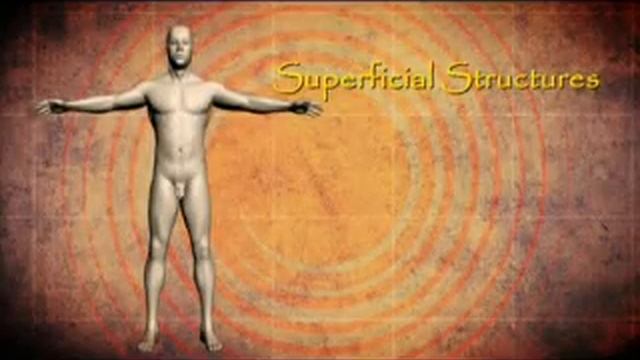 The Legend of Sushruta смотреть онлайн