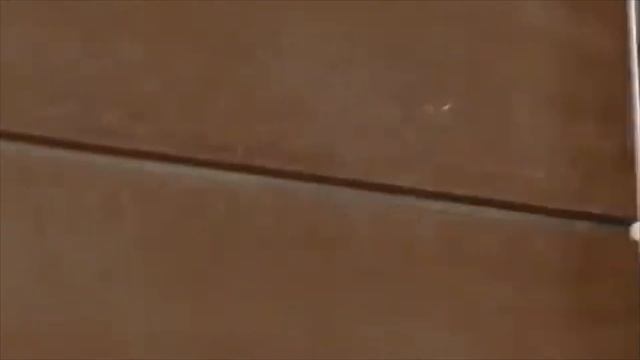 Saiyaara With Korean Drama Ek Tha Tiger