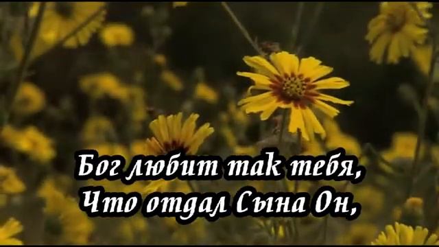 Ксения Лапицкая - Взглянь на крест смотреть онлайн