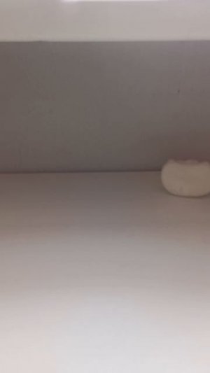 3 часть поделок