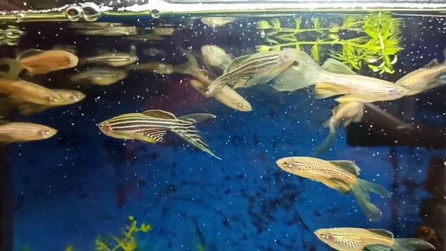 21 марта 2023 г. смотреть онлайн