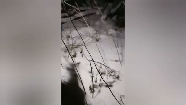 Охота на МЕДВЕДЯ с РОГАТИНОЙ!!! смотреть онлайн