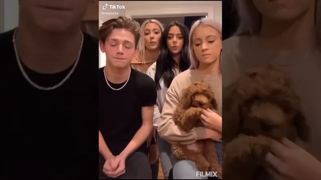 Тик ток про Пэйтона смотреть онлайн