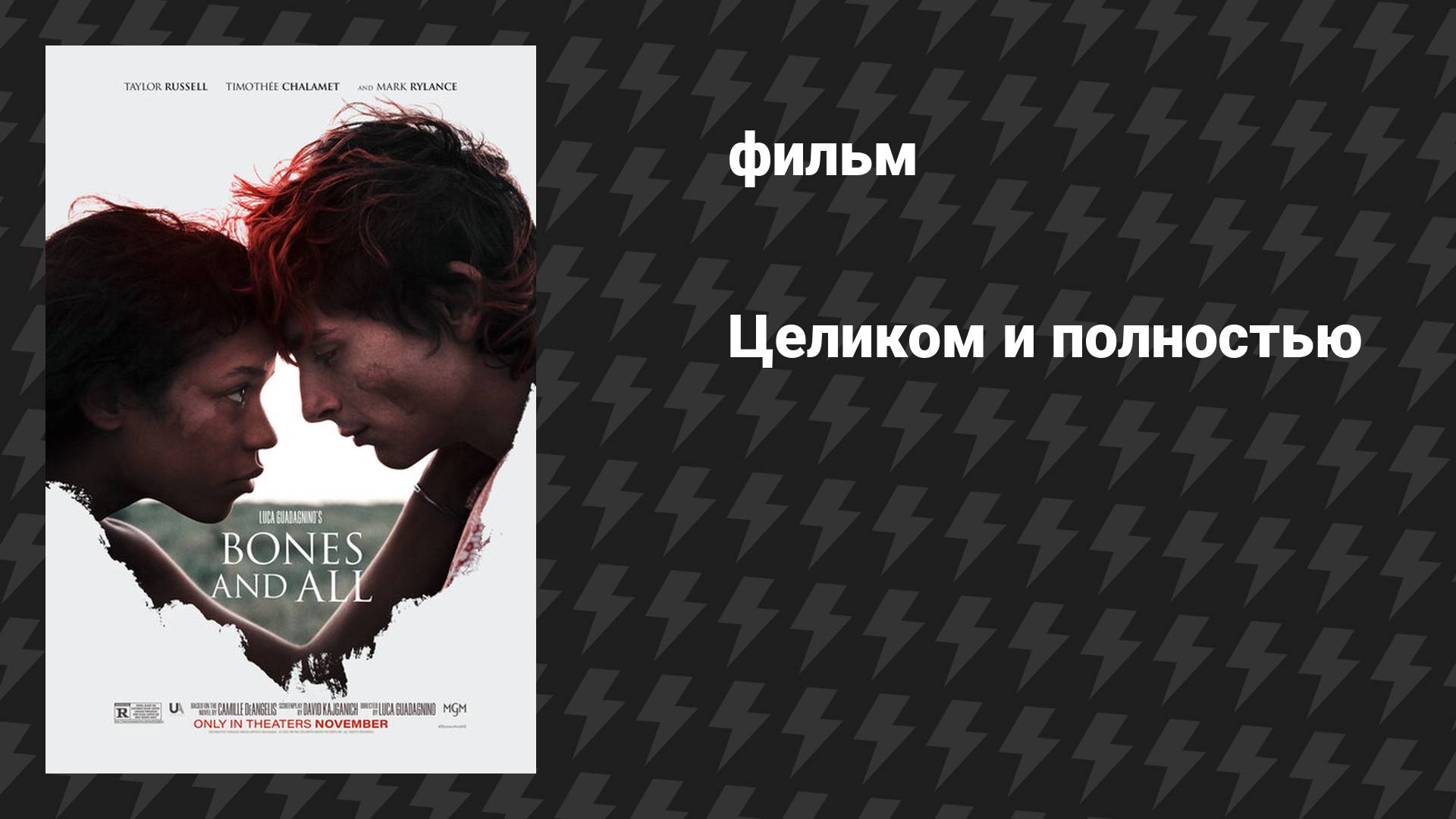 Целиком и полностью (фильм, 2022)