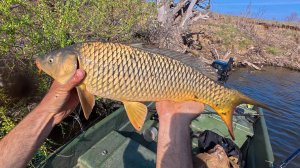 ВОТ ОНИ ГДЕ ПРЯЧУТСЯ! НАШЕЛ! ТУДА ЗАКИДУШКУ! Ловля САЗАНА на червя. Весенняя рыбалка в Астрахани.