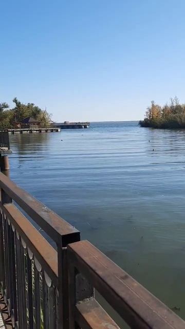 #рекомендации #россия #топ #врекомендации #а4 #волгоград #рыбалка смотреть онлайн