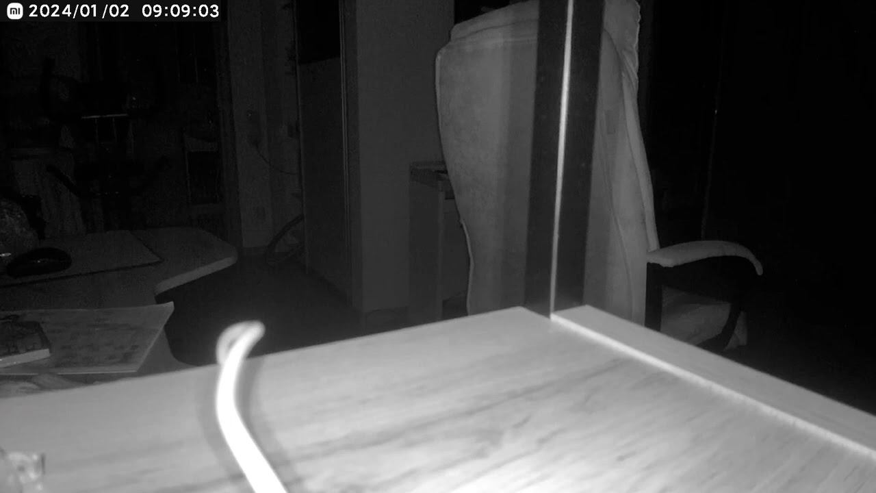 5 января 2024 г. смотреть онлайн