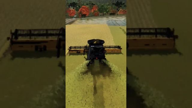 Harvester#fs22#farmingsimulator22#farmingsimulator#fs19#farming#harvester#rice#fs#gaming#gamingvide смотреть онлайн