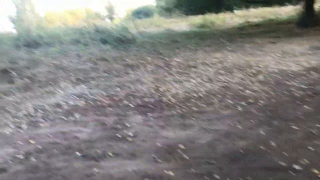 VLOG выезд в лес на шашлыки/романтик смотреть онлайн