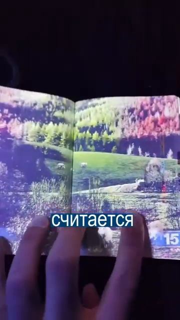 Вычурные паспорта Латвии и Канады смотреть онлайн