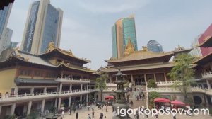 Шанхай #6 Shanghai 04.2025 Храм Цзинъань. Jing'an Temple. 静安寺. Храм среди небоскребов.