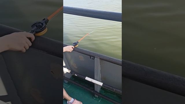 13 января 2024 г. смотреть онлайн