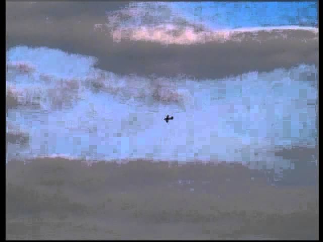 Аэро 2012 Дима и Сергей смотреть онлайн