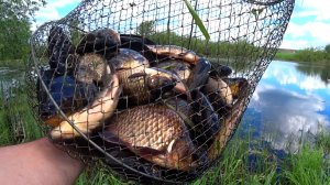 Ловля КАРАСЯ в мае 2022 ! РЫБАЛКА на ПОПЛАВОК !