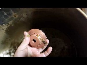 НБК и Тарельчатая колопачковая колонна