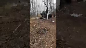 Медведь разорвал машины.