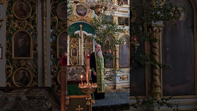 23.06.2024 - Церковь - место кающихся грешников; прот.Николай Цирке смотреть онлайн