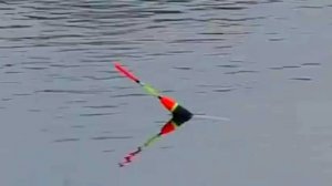 Нашатали КАРАСЯ на ПОПЛАВОЧНУЮ УДОЧКУ! Ловля карася весной!